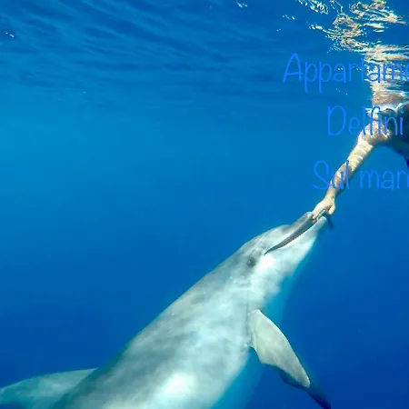 Appartamento Delfino-2