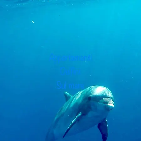 Appartamento Delfino-3